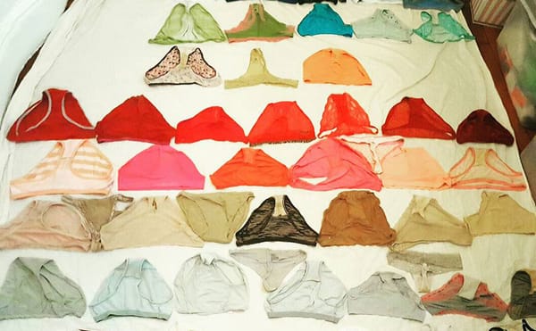 An Artist Seeks Women's Used Underwear for Sewing into Quilts
