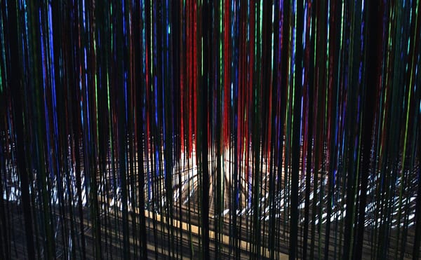 A Stroll Through a Forest of Ribbons That Simulates Synesthesia