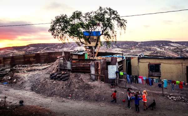 In Tijuana, an Artist-Designed Treehouse Gives a Peek into the US