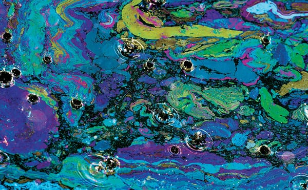 The Psychedelic Pollution Floating in the Gowanus Canal