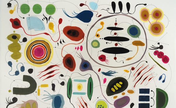 Abstracting the Data of the Natural World with Colorful Geometries