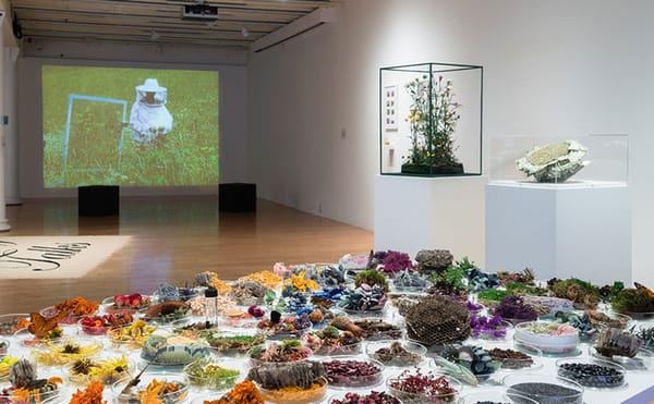 #HyperPicks: A Cabaret for the Bees