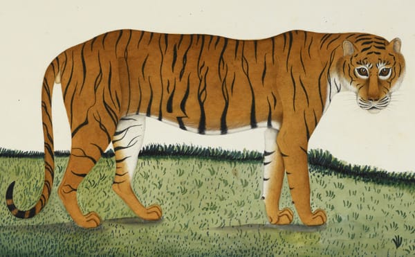 The Biodiversity of the World Captured in Five Centuries of Animal Art