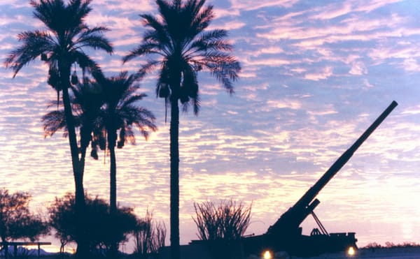 US Department of Defense Wants Biodegradable Bullets Made of Seeds