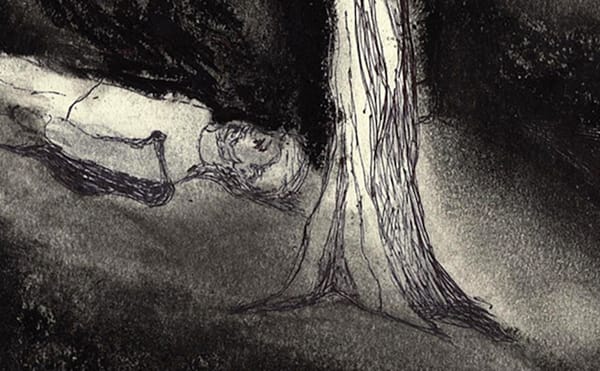 The Border Runs Through the Middle of the Tree