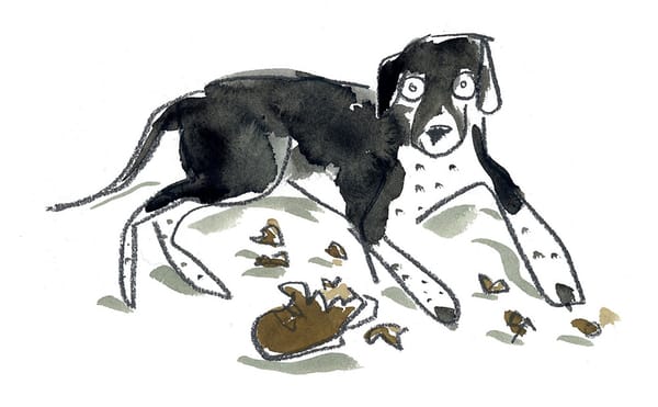 The Art of the Town Board Meeting