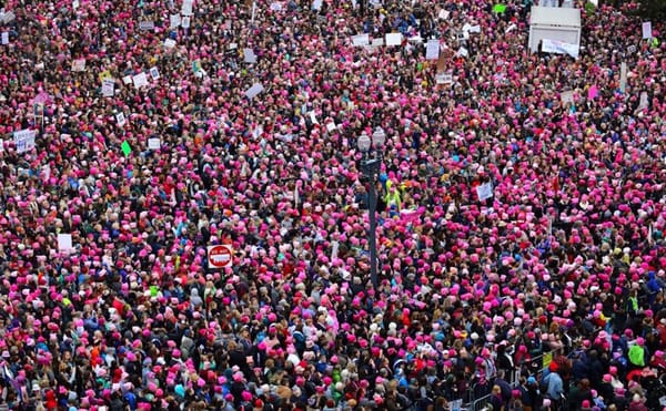 A Western Cultural History of Pink, from Madame de Pompadour to Pussy Hats