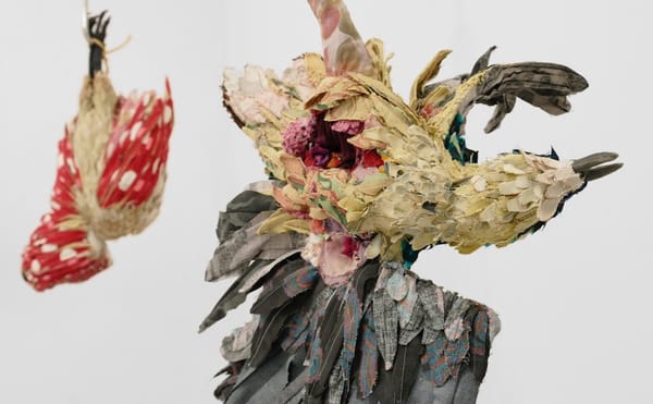 The Cautionary Tales of Dead Birds Fashioned from Textiles