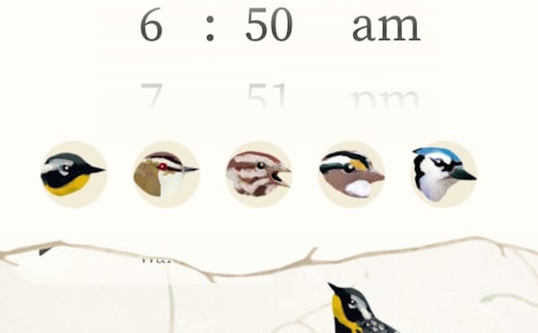 An Alarm Clock of Bird Songs, Culled from a Museum’s Archive