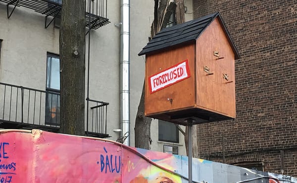 Learning a Lesson from New York City Birds