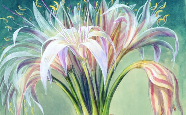 A Book Gathers Botanical Sketches from Across the Centuries