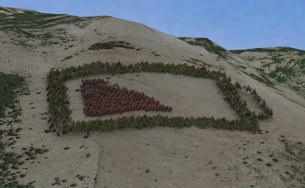 An Attempt to Create Europe's Largest Environmental Art Project with 5,000 Trees