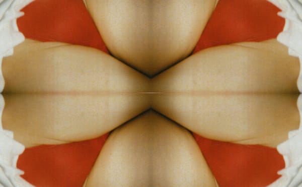 “This Is a Revolutionary Moment”: Genesis Breyer P-Orridge on Intersectionality in Art