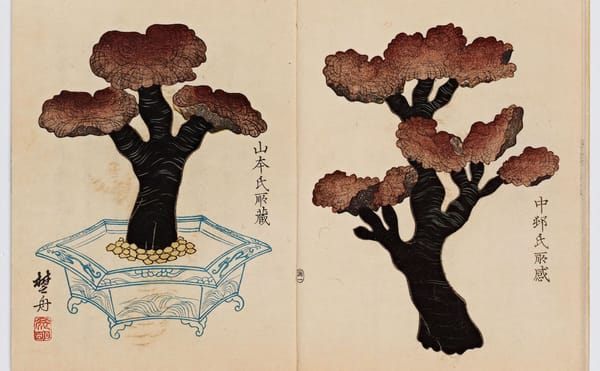 Hunting for the Magic Mushrooms of Ancient East Asian Art