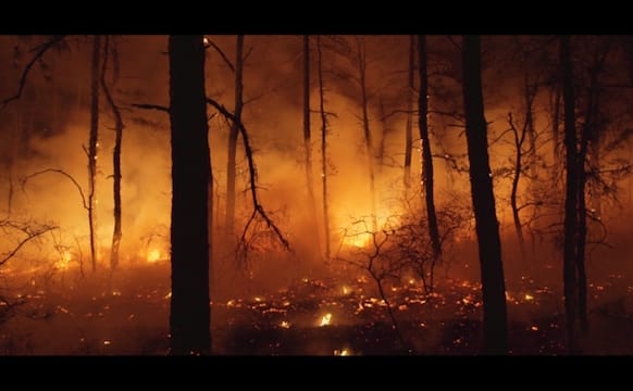 New Jersey’s One Million Acres of Undeveloped, Otherworldly Land