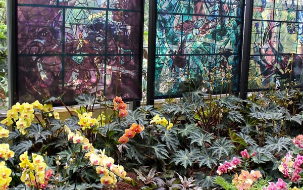 A Botanical Garden Blooms with Chagall