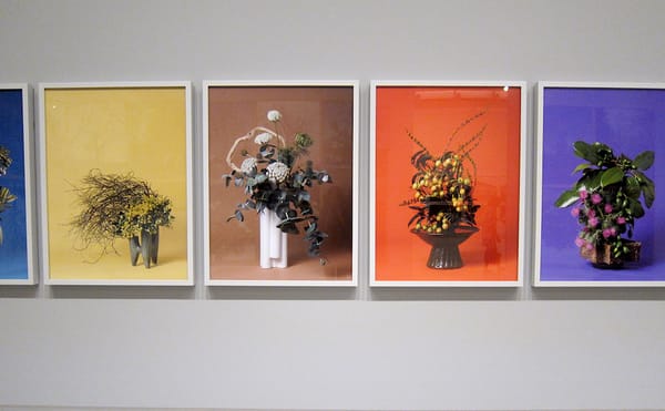 Bouquets Highlight Plants Used to Control Women’s Reproductive Health