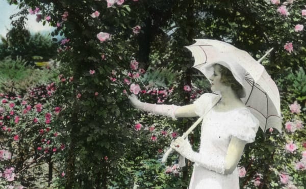 Explore a Growing Archive of American Gardens with a New Smithsonian App