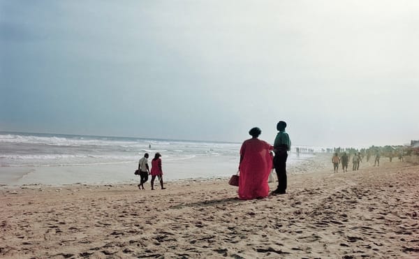 A Photographer Who Uses Color to Hint at Her Own Presence