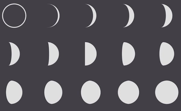 Staying Up with Suzanne Buffam’s A Pillow Book