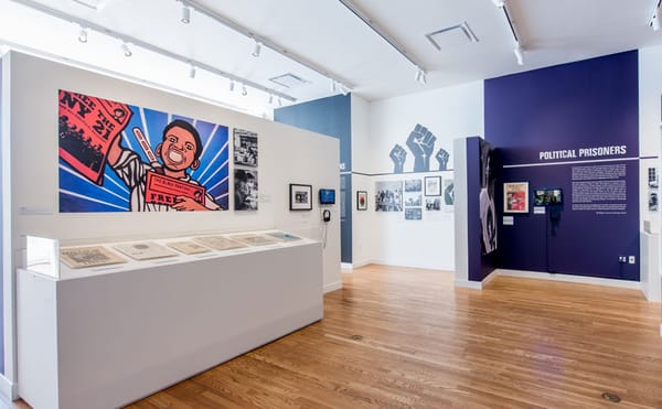 Tracing the Lasting Influence of Black Power