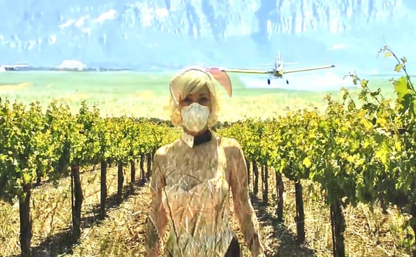 A Playboy Bunny Navigates the Politics of Dystopia