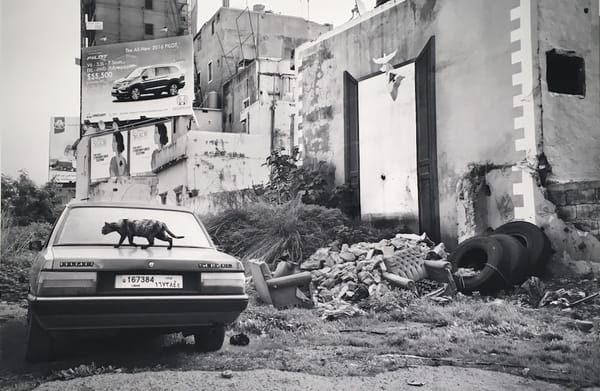 Photos of the Capitalistic Imagery that Overwhelms Beirut’s Landscape