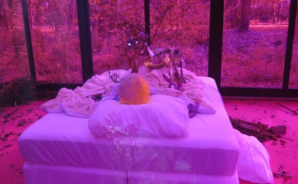 A German Art Space’s Inaugural Exhibition Transforms It into a Haunted Haus