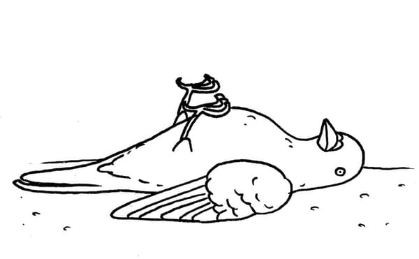 The Commencement Speech I Wanted to Hear