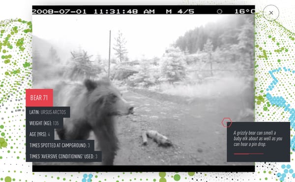 A VR Documentary on Animal Surveillance Tracks a Grizzly’s Life