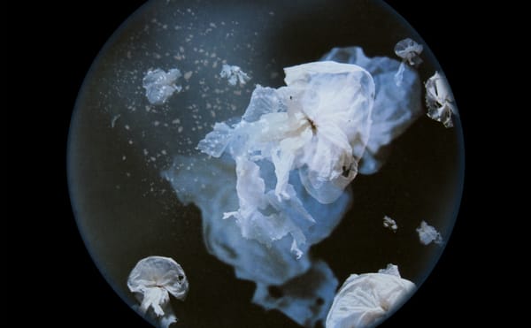 Imagine If a Victorian Scientist Studied the Plastic Debris in Our Oceans