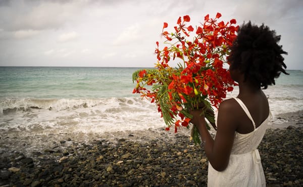 The Contested Histories of Water