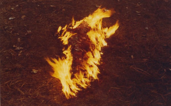 One Poem by Idra Novey