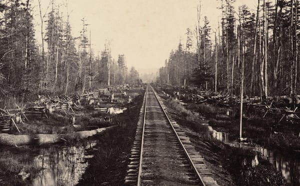 Changes on the Land: 19th-Century American Photography East of the Mississippi