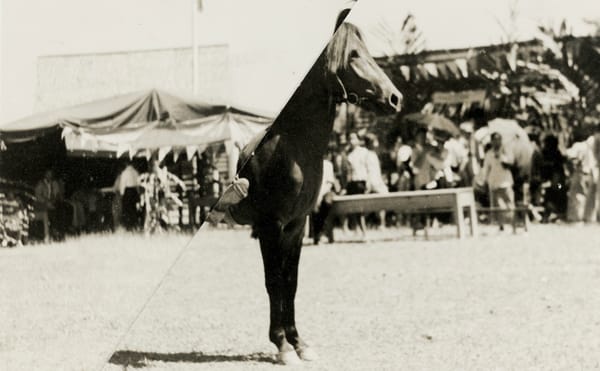 A Photographer Remixes Her Family Photos into Cryptic New Moments