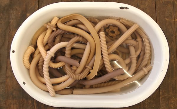 Jes Fan, "Disposed to Add" (2017), silicone