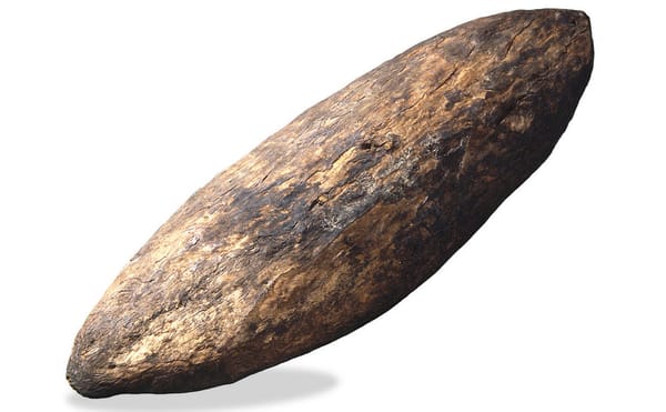 Why an Indigenous Australian Wants the British Museum to Return His Ancestor’s Shield