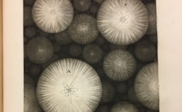 Exploring the Evolution of Diagrams at El Segundo Museum of Art