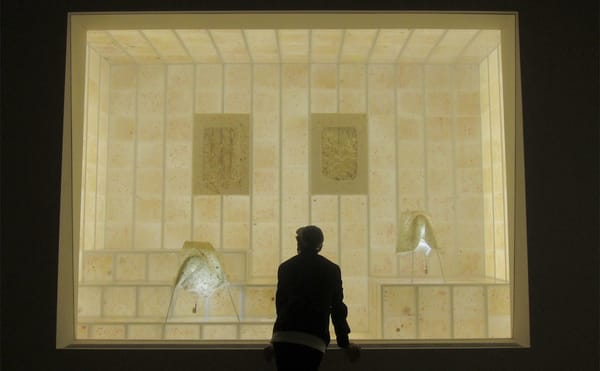 A Display of Sweat, Ants, and Bacteria at the Guggenheim