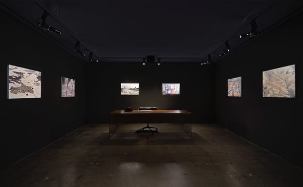 Michel Houellebecq's Cynicism Persists in His Photographs