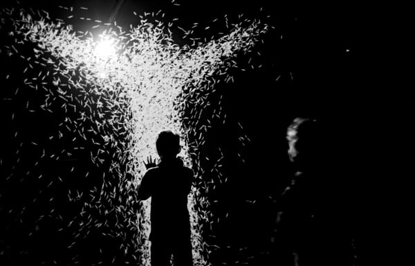 Algorithmic Art That You Can Blow On, Walk Through, or Dance Over