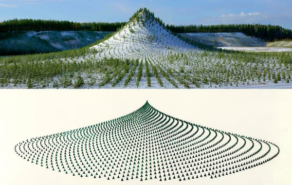 How Can Ecological Artists Move Beyond Aesthetic Gestures?