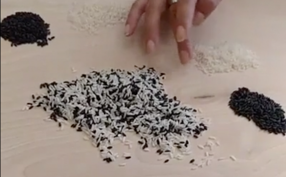 Over Rice, a Conversation About Race at Smack Mellon