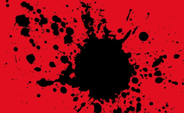 Self-Immolator: Joshua Marie Wilkinson’s Meadow Slasher