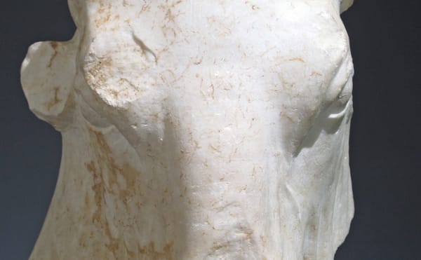 Marble Head of a Bull (ca 500-460 BCE), Greek, height:13 in (image courtesy the Metropolitan Museum of Art, New York)