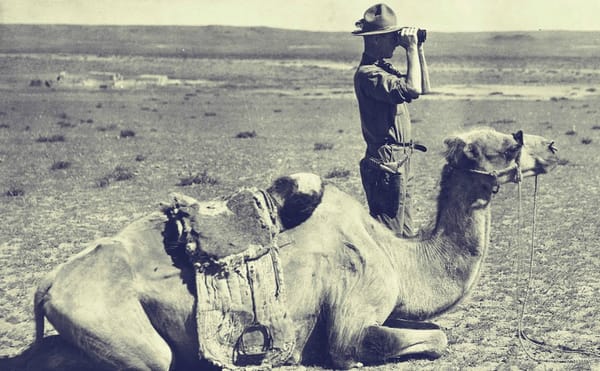 Go Behind the Scenes of 9 Museums With These Great Online Web Series