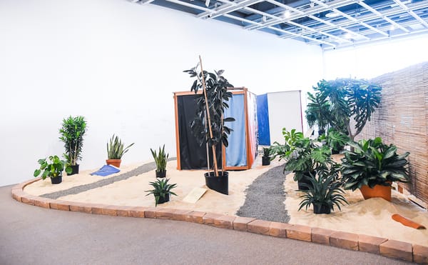 Arto Lindsay Remembers Hélio Oiticica