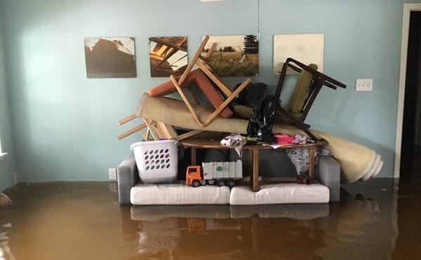 Flooding in the home of artist Keliy Anderson-Staley (courtesy the artist)