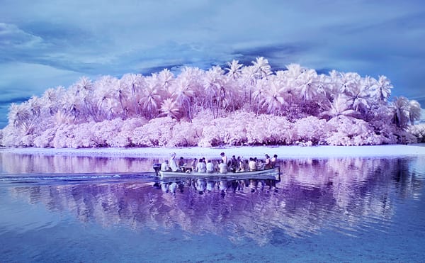 A Photographer's Infrared Journey to the Island of the Colorblind