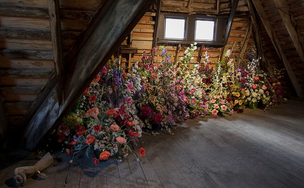 Matthew Jensen: Among Trees and Stones (courtesy Matthew Jensen)